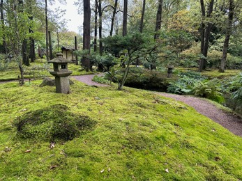 Bright moss, different plants and stone lantern near pathway in Japanese garden