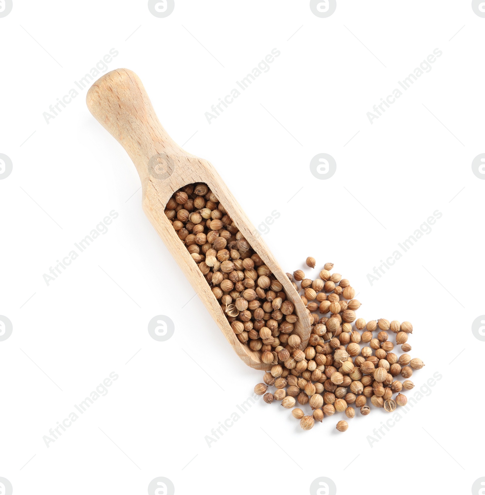 Photo of Dried coriander seeds with wooden scoop on white background, top view