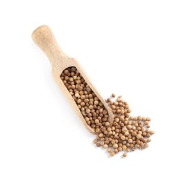 Photo of Dried coriander seeds with wooden scoop on white background, top view