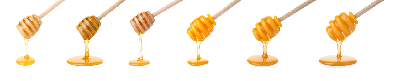 Set of organic delicious honey on white background. Banner design 