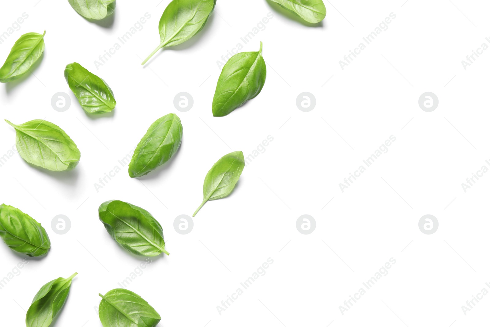 Photo of Fresh green basil leaves on white background, top view