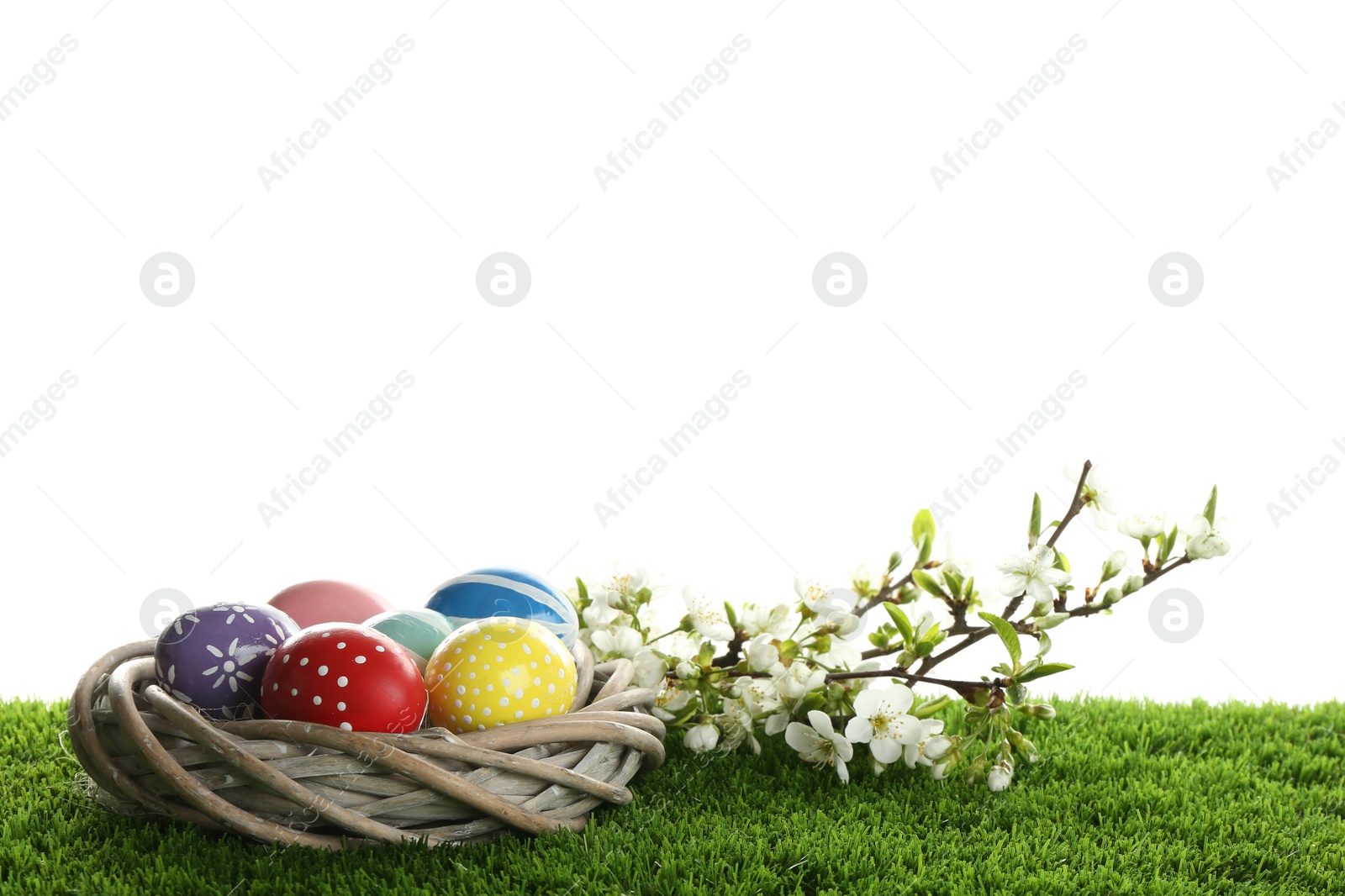 Photo of Painted Easter eggs in nest and blossoming branches on green grass against white background