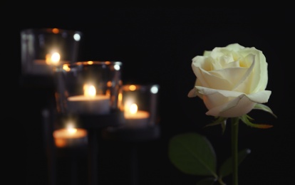 Photo of Burning candles and rose flower on dark background. Funeral symbol