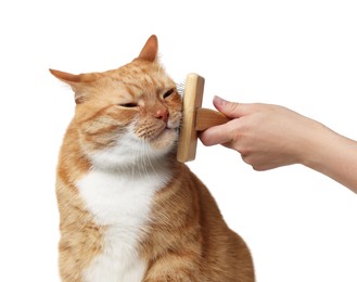 Photo of Woman brushing cute ginger cat's fur on white background, closeup