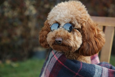 Photo of Cute fluffy dog with sunglasses wrapped in blanket outdoors