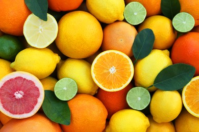 Many different whole and cut citrus fruits as background, top view