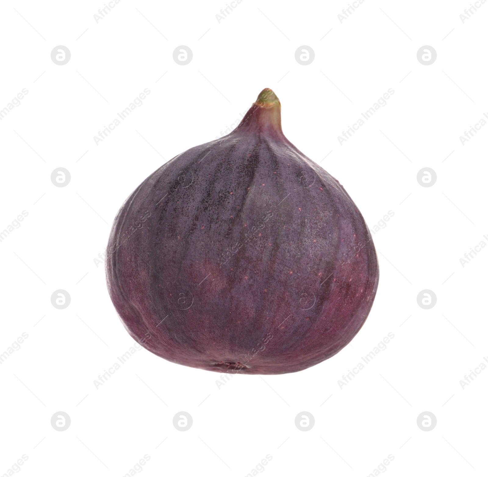 Photo of Whole ripe fresh fig isolated on white