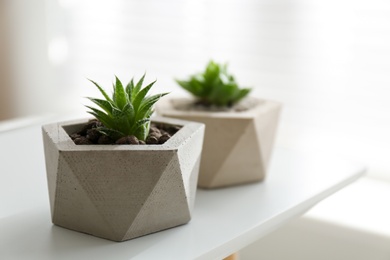 Photo of Beautiful succulent plants on white table, closeup