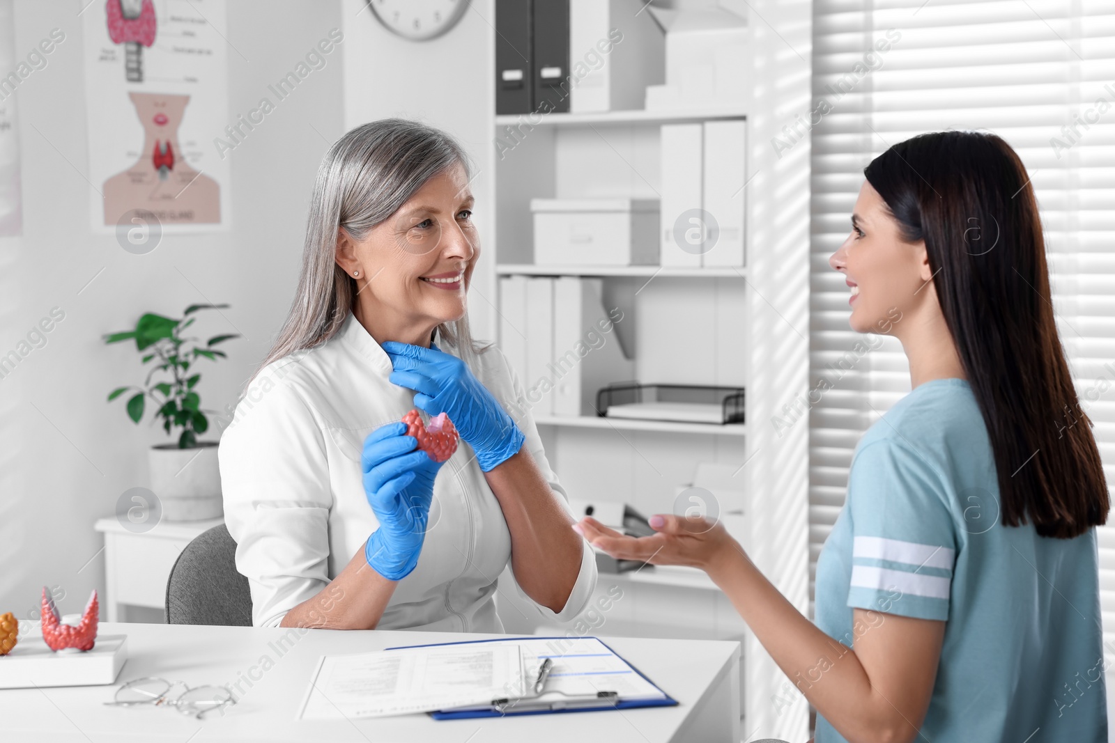 Photo of Endocrinologist showing thyroid gland model to patient at table in hospital