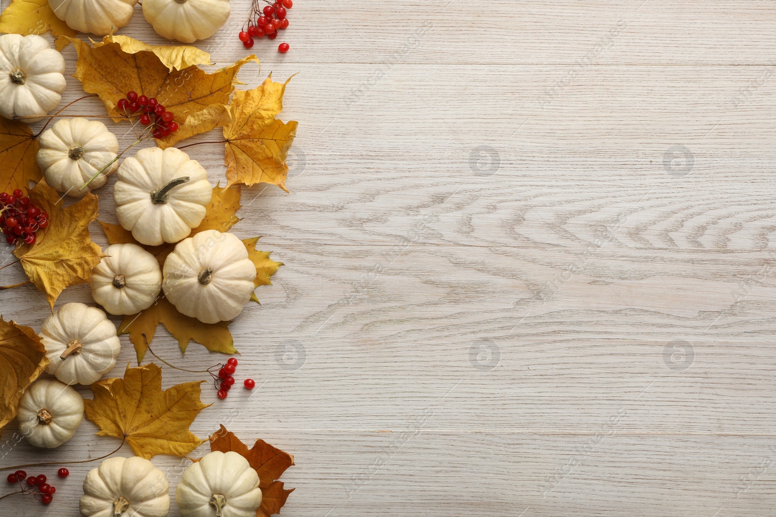 Photo of Dry autumn leaves, berries and pumpkins on light wooden table, flat lay. Space for text