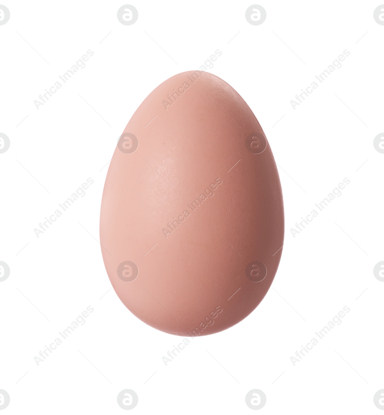 Photo of One brown Easter egg isolated on white