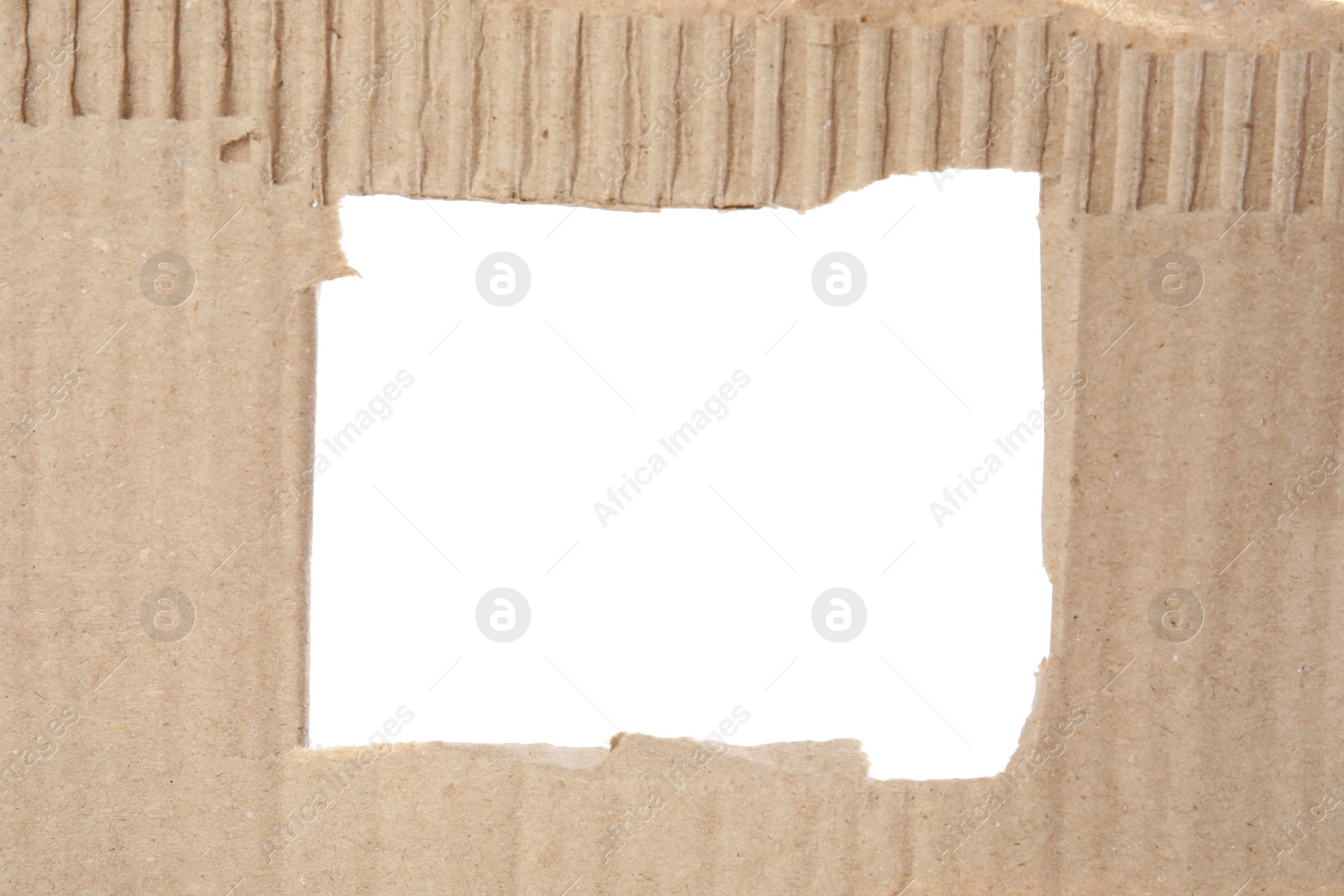 Photo of Hole in brown cardboard on white background