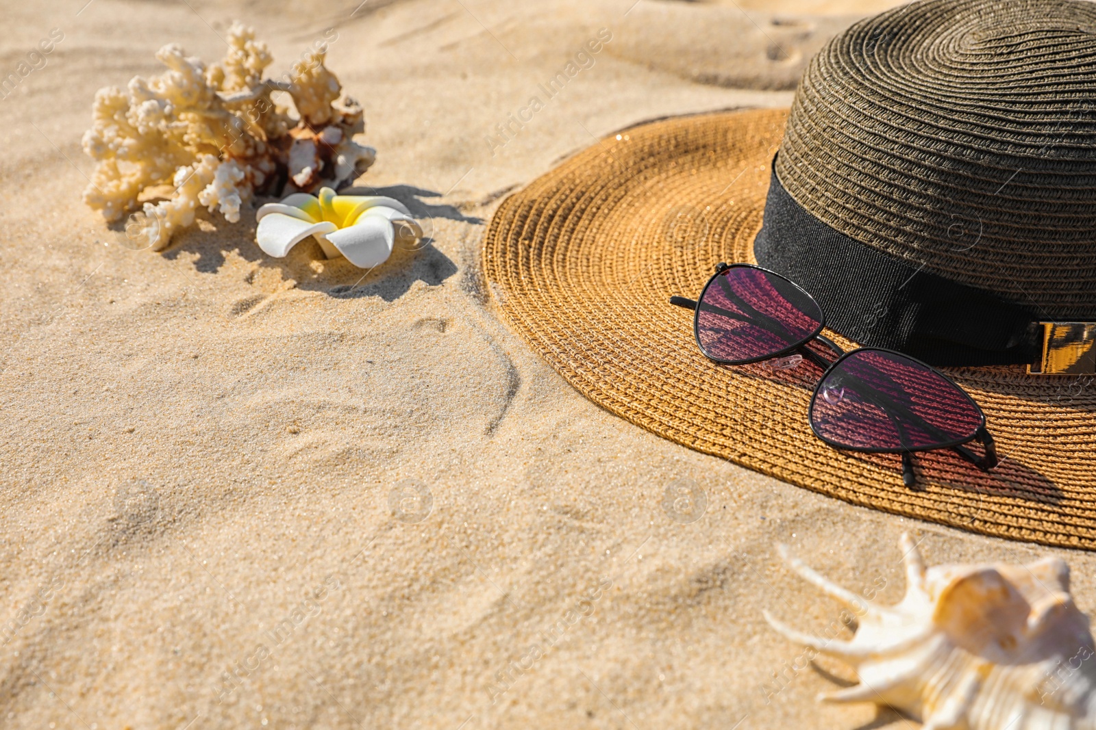 Photo of Stylish hat and sunglasses on sand, space for text. Beach accessories