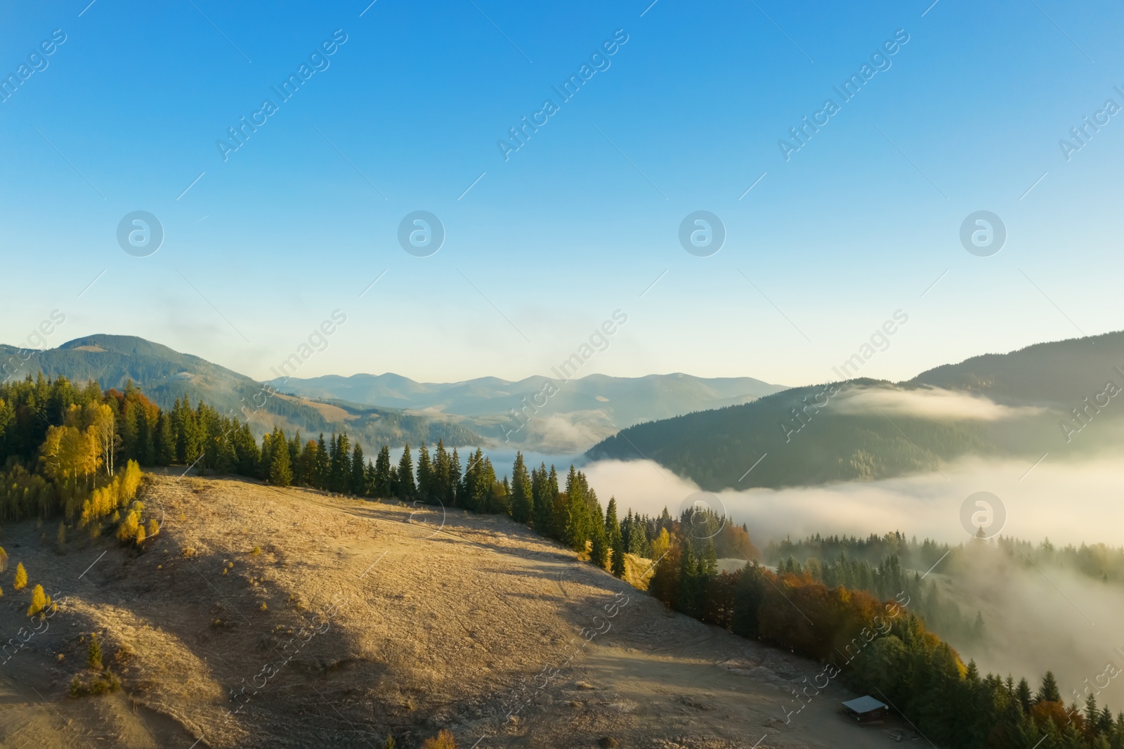 Image of Forest and land in mountains. Drone photography