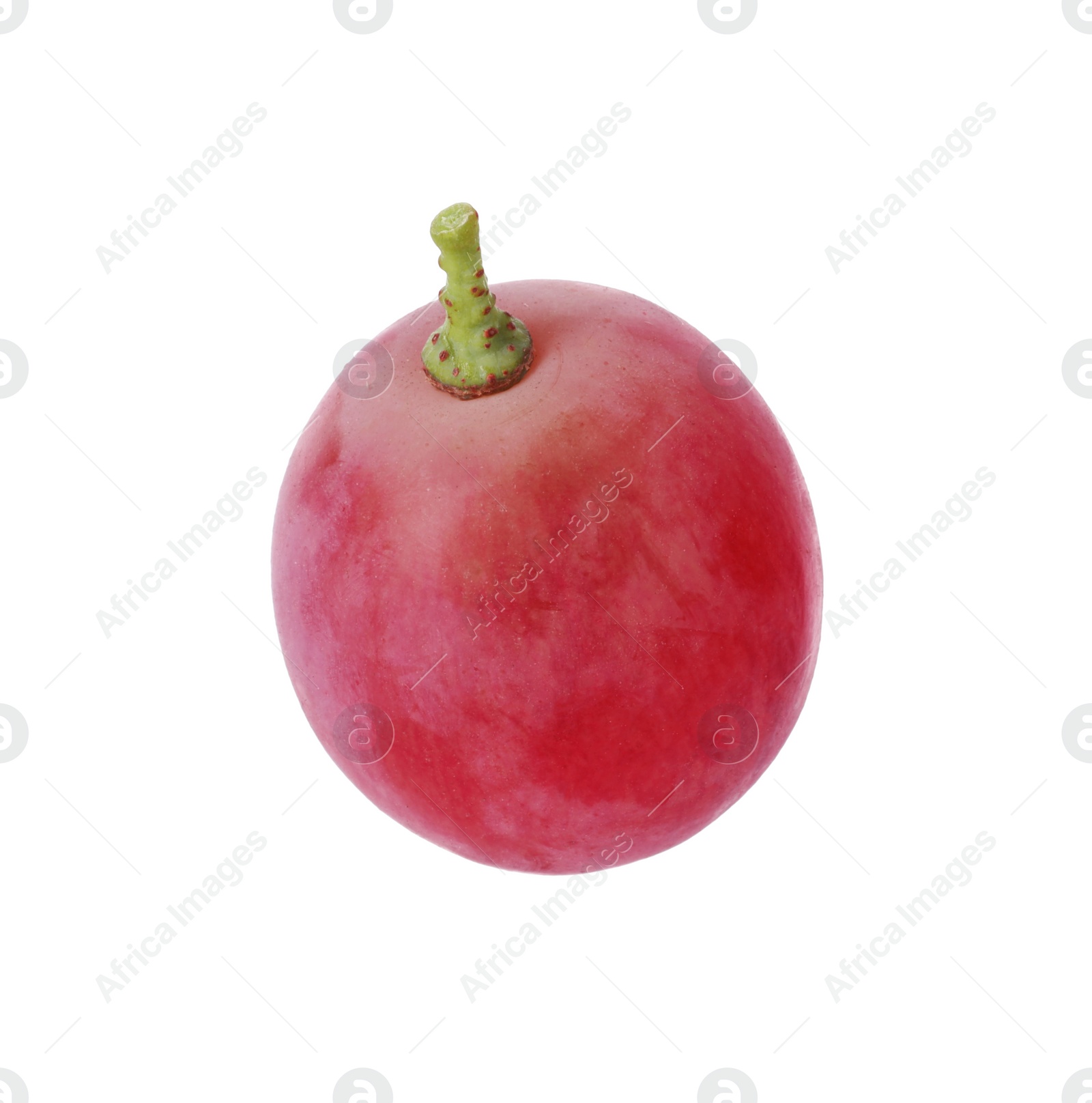 Photo of One ripe red grape isolated on white