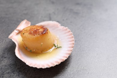 Delicious fried scallop in shell on grey table, closeup. Space for text