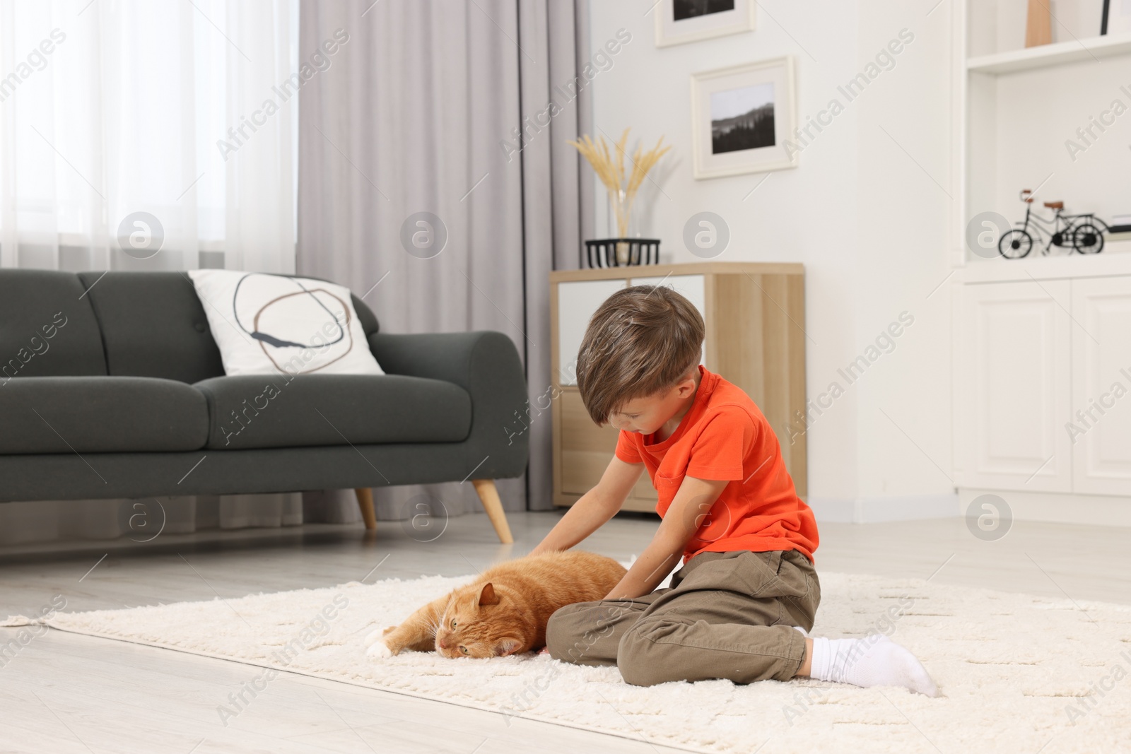 Photo of Little boy petting cute ginger cat on soft carpet at home