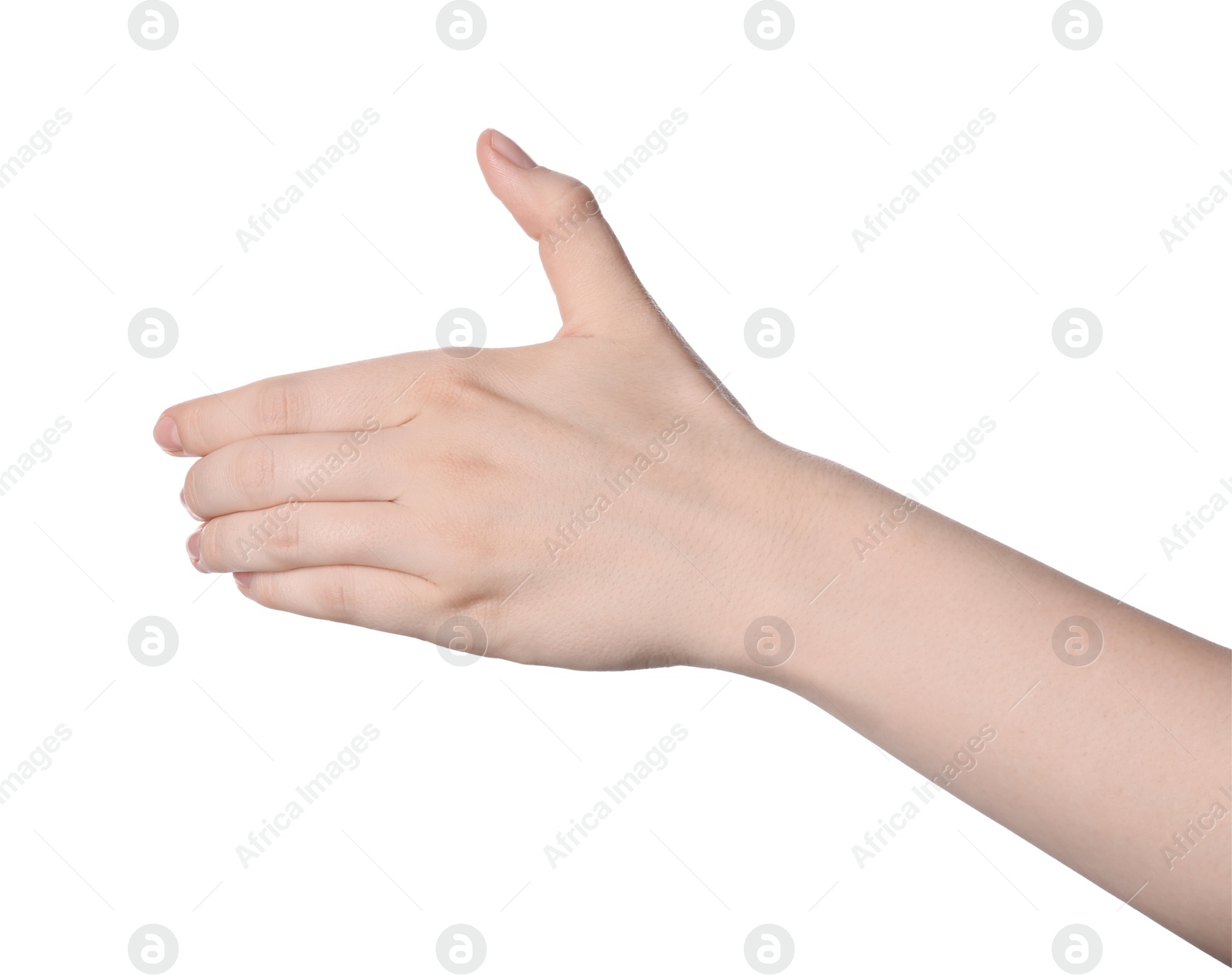 Photo of Woman holding something against white background, closeup