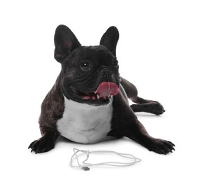 Photo of Naughty French Bulldog with wire of USB cable on white background