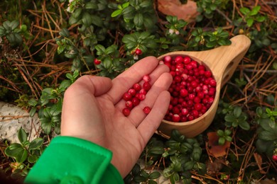 Photo of Woman holding tasty lingonberries near wooden cup outdoors, above view