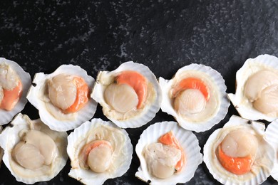 Photo of Fresh raw scallops with shells on black textured table, flat lay. Space for text