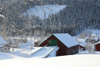 Beautiful view of houses near snowy forest on winter day