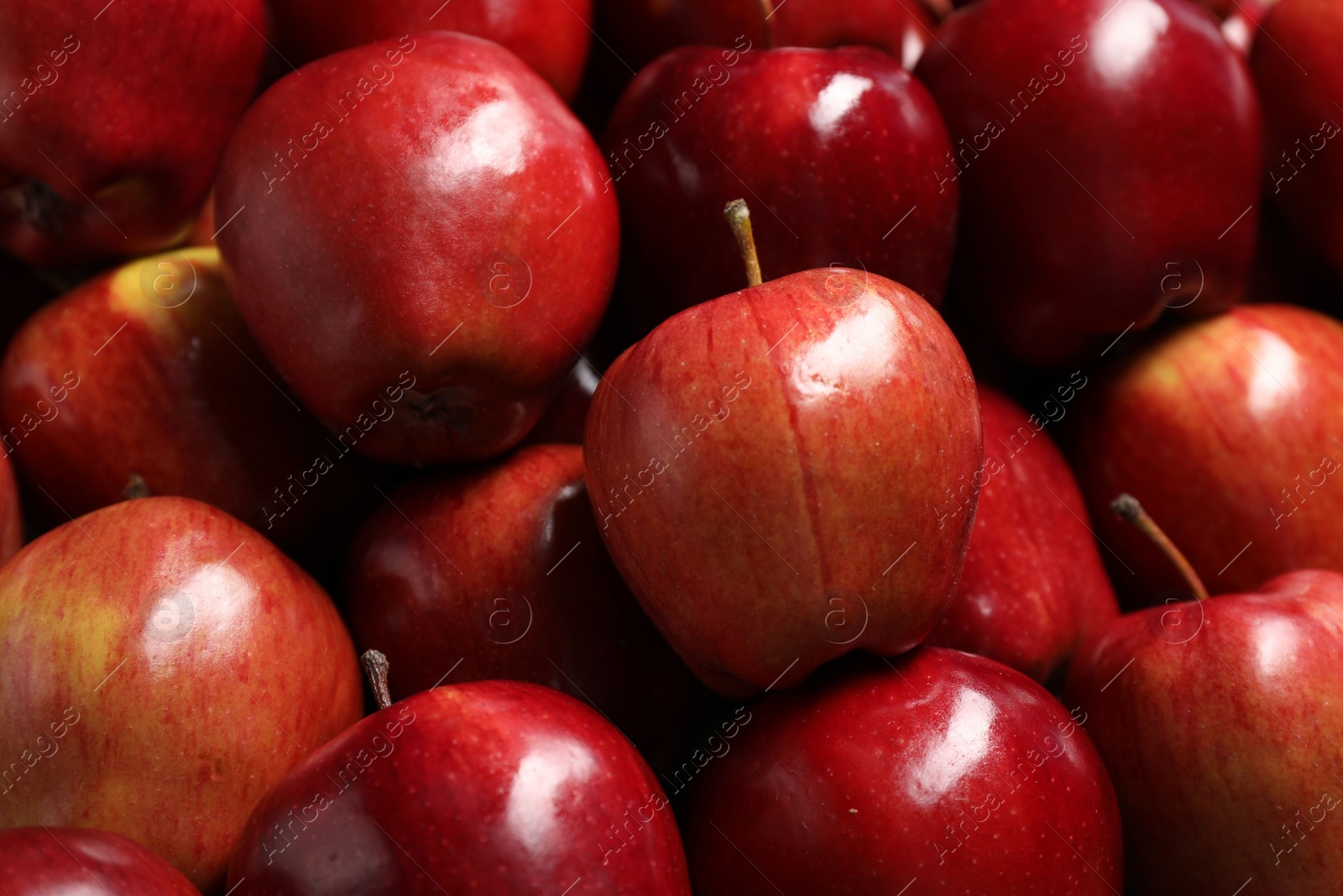 Photo of Fresh ripe red apples as background, closeup