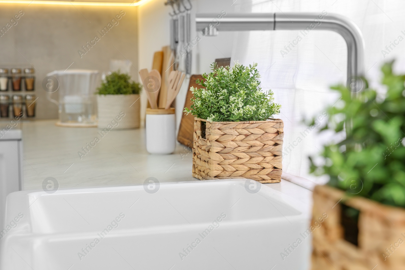 Photo of Different potted artificial plants on countertop in kitchen. Home decor