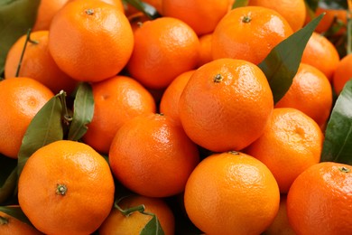 Photo of Delicious tangerines with leaves as background, closeup