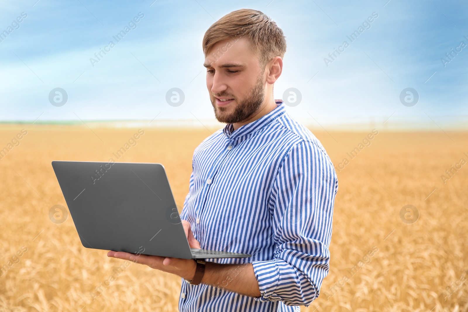 Photo of Young agronomist with laptop in grain field. Cereal farming