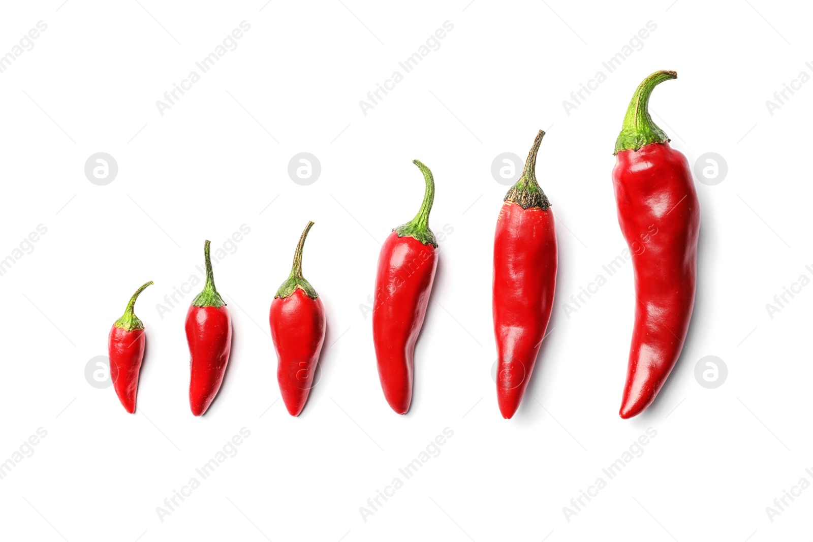 Photo of Fresh red chili peppers on white background, top view