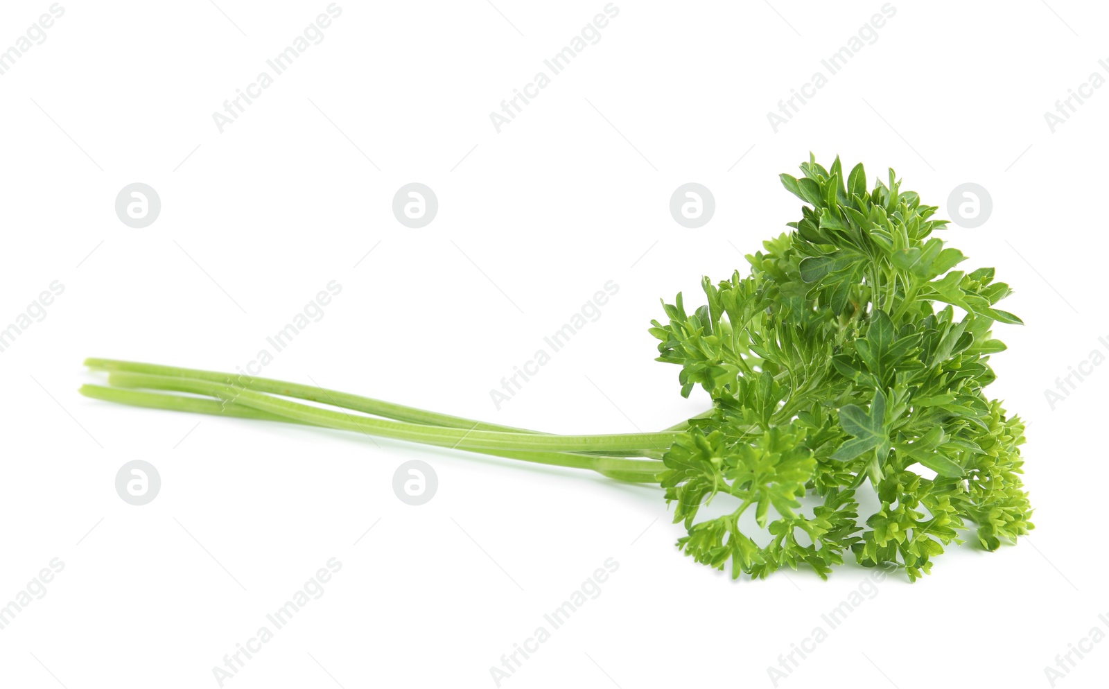 Photo of Fresh green organic parsley on white background