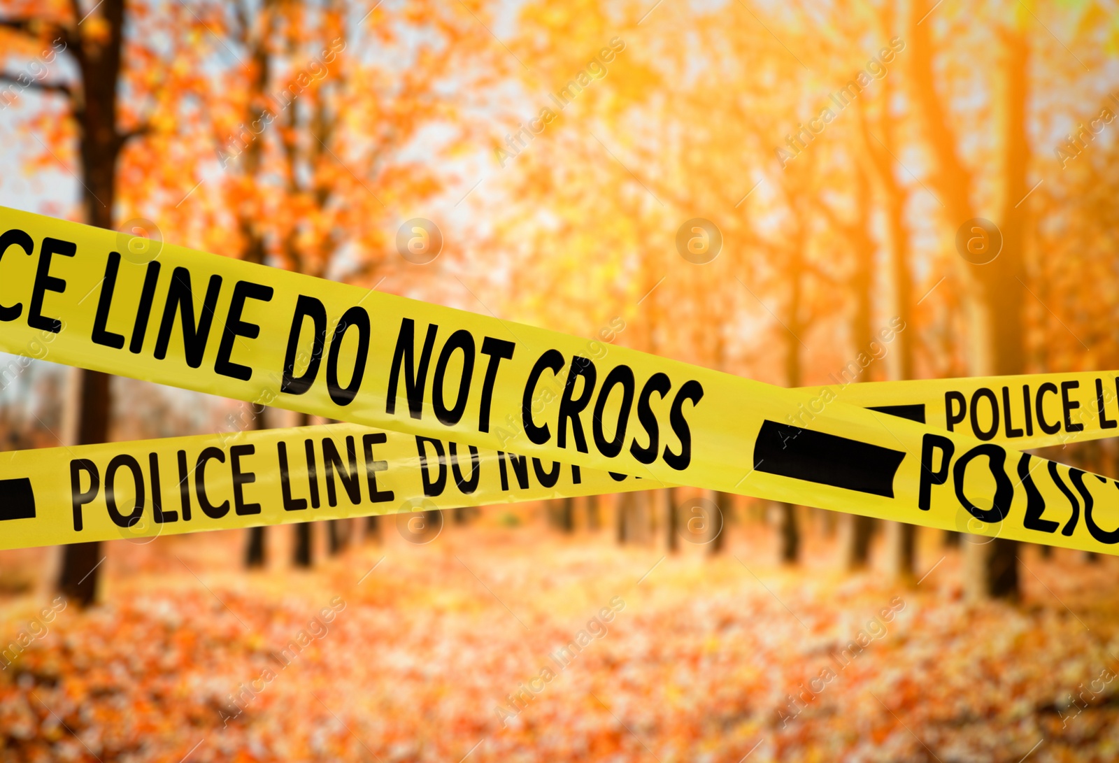 Image of Yellow police tape isolating crime scene. Blurred view of autumn park 