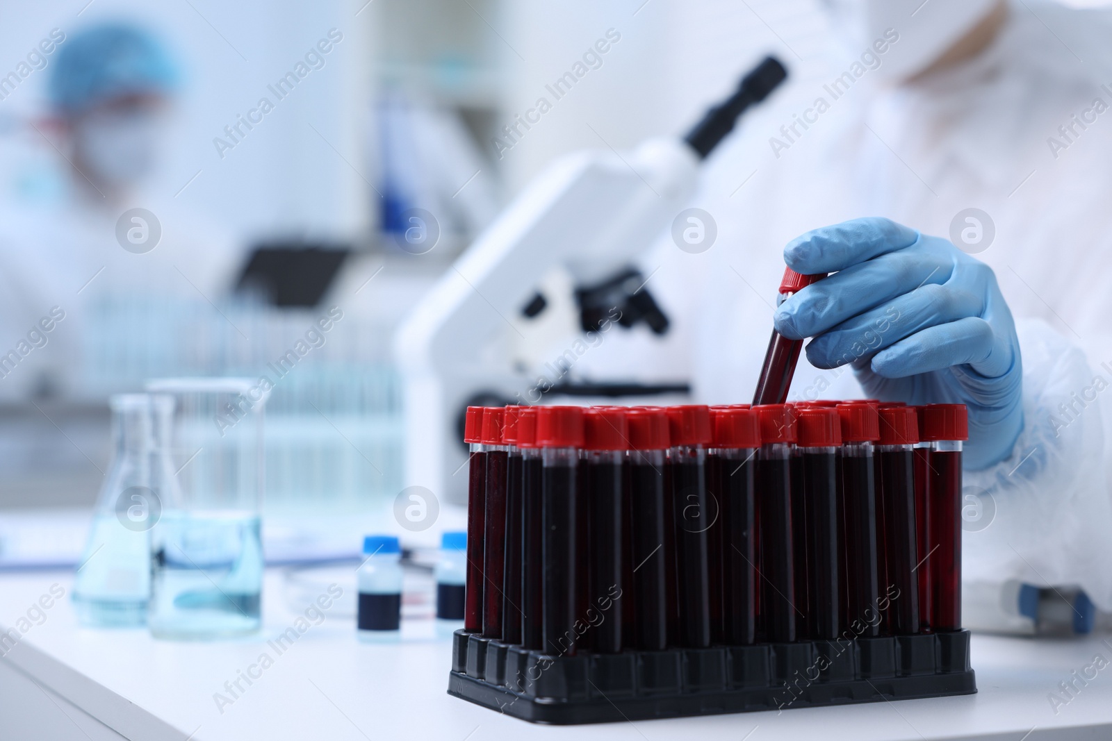 Photo of Scientist working with samples in test tubes in laboratory, closeup