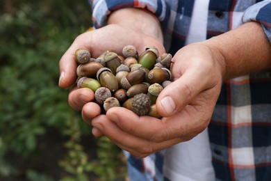 Photo of Man holding pile of dry acorns outdoors, closeup