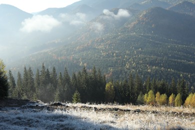 Photo of Beautiful mountain landscape in morning. Sunlit grass covered with hoarfrost