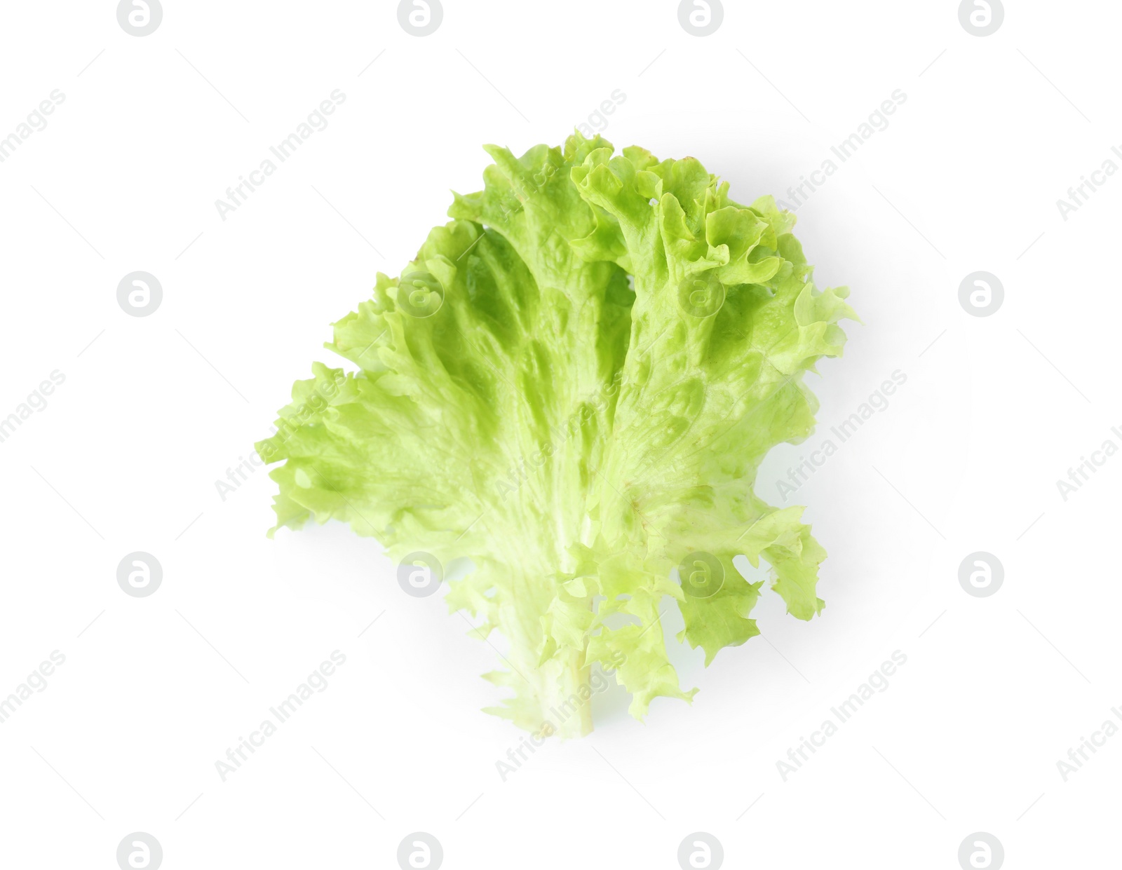 Photo of Leaf of fresh lettuce for burger isolated on white, top view