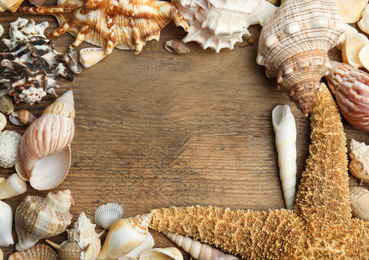 Photo of Frame of sea shells on wooden background, flat lay. Space for text