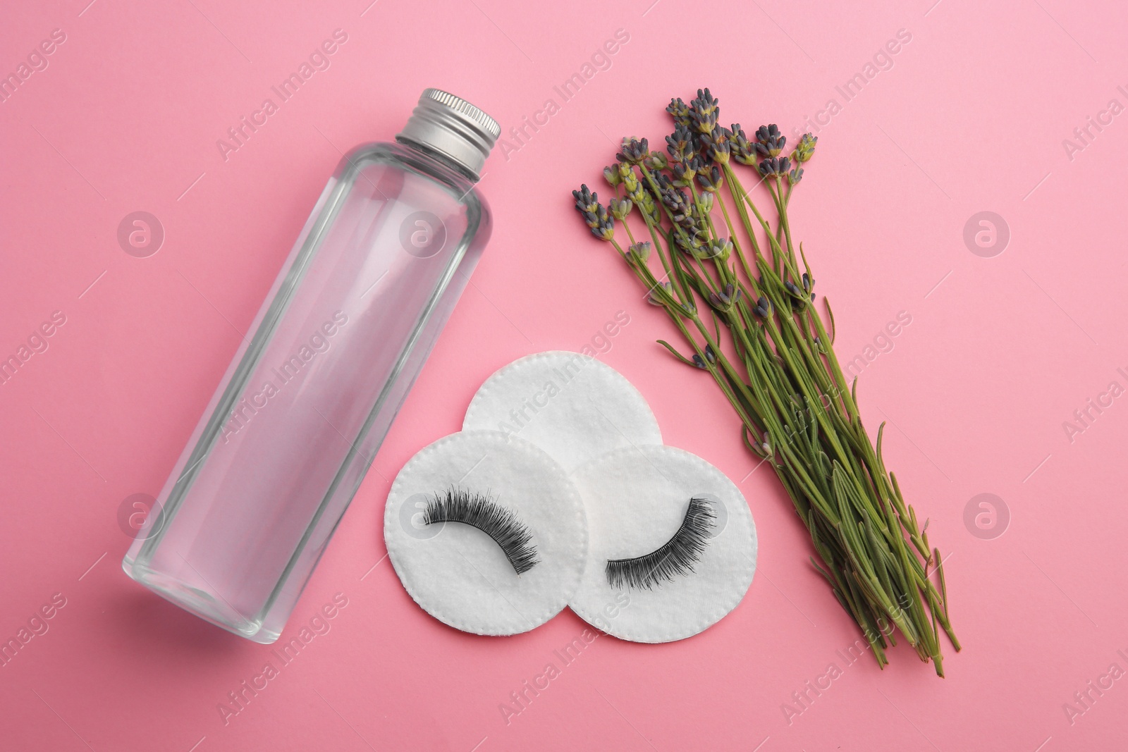 Photo of Bottle of makeup remover, cotton pads, false eyelashes and lavender on pink background, flat lay