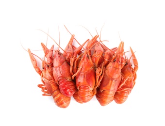 Photo of Delicious boiled crayfishes isolated on white, top view