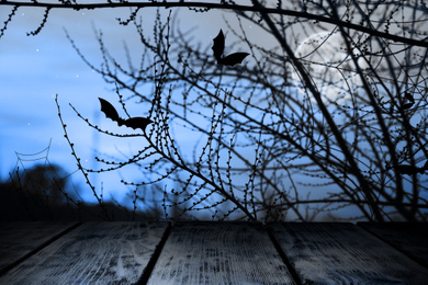 Image of Wooden surface and bats flying in evening sky with full moon. Halloween illustration