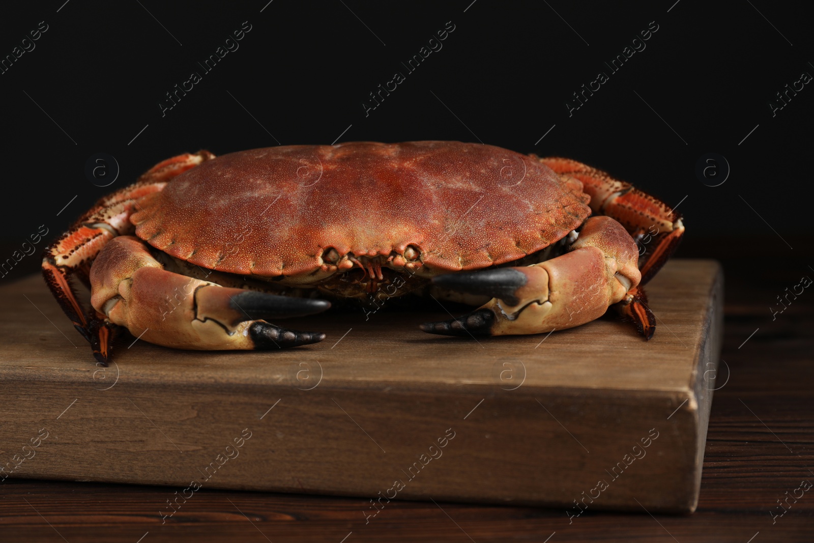 Photo of One delicious boiled crab on wooden table