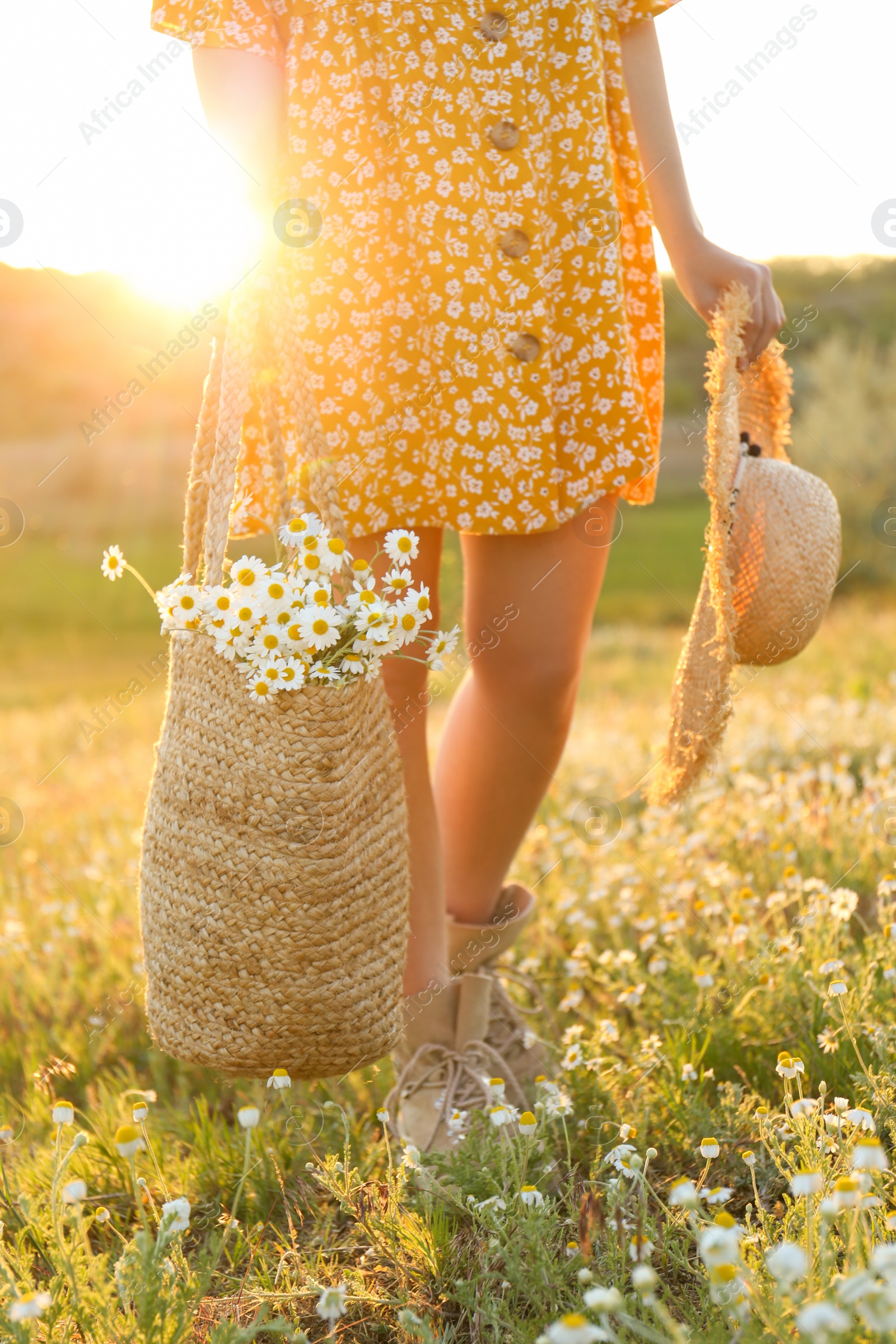 Photo of Woman with straw hat and handbag full of chamomiles walking in meadow, closeup