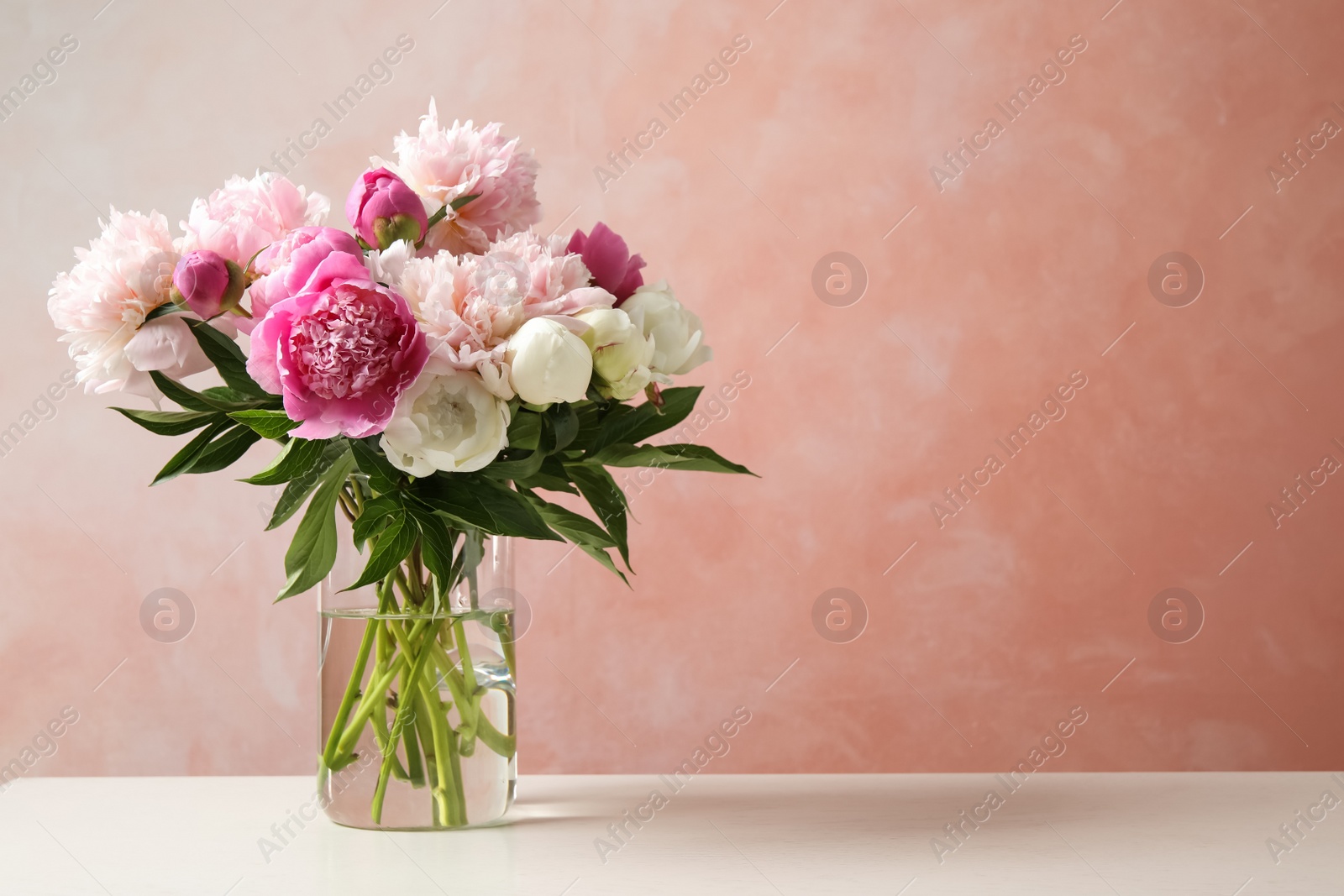 Photo of Beautiful peony bouquet in vase on table against pink background. Space for text