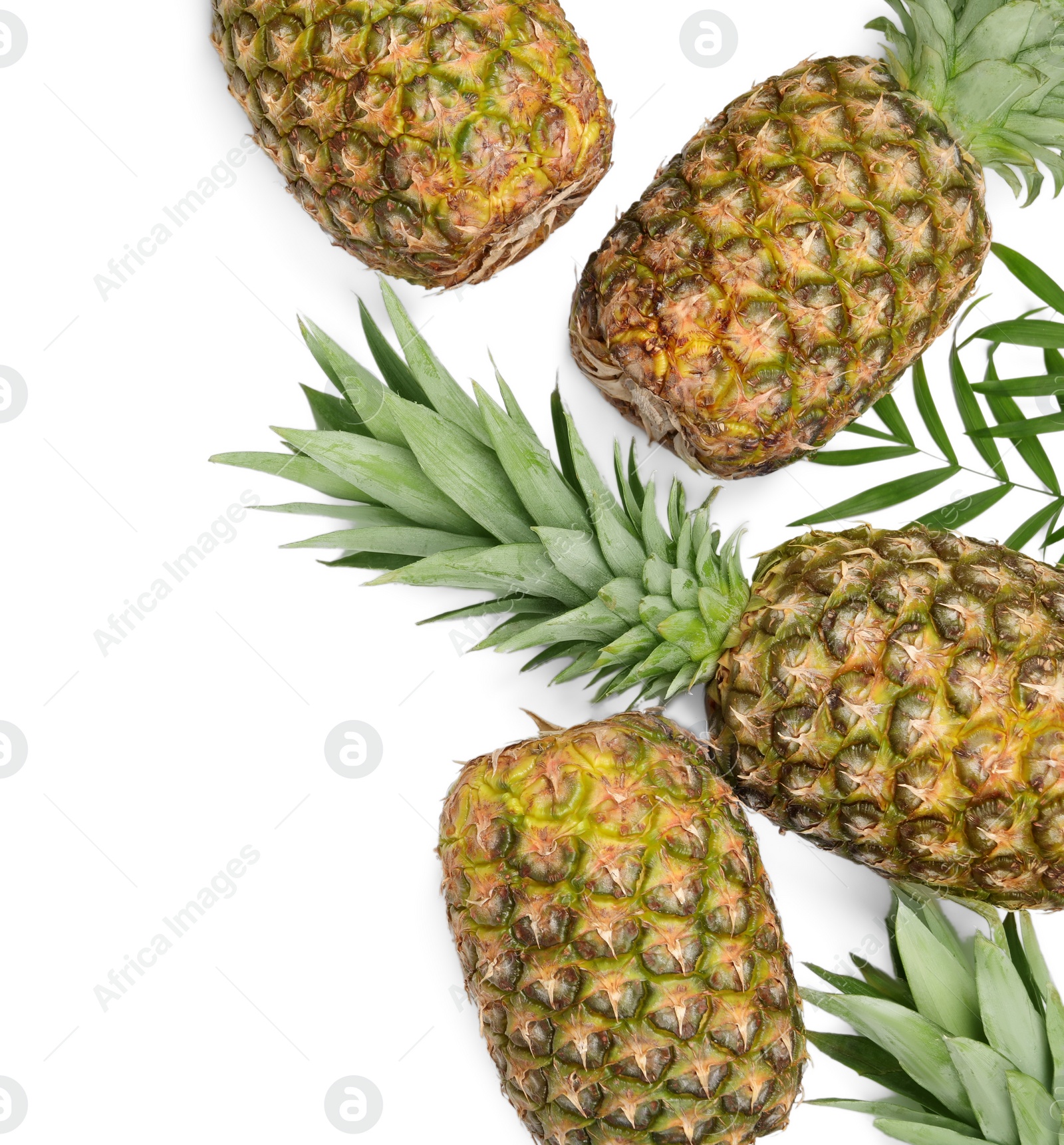 Photo of Whole ripe pineapples and green leaves on white background, flat lay. Space for text