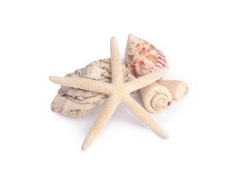 Beautiful sea star and shells isolated on white