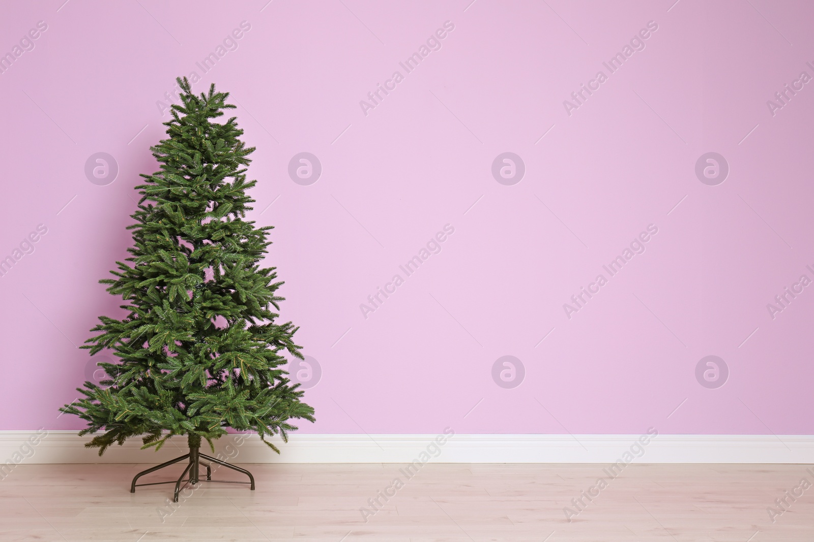 Photo of Christmas tree near color wall indoors. Celebration time