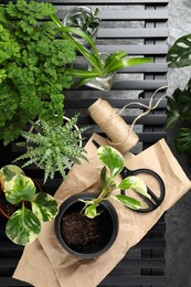 Lush exotic house plants and gardening tools on table, flat lay