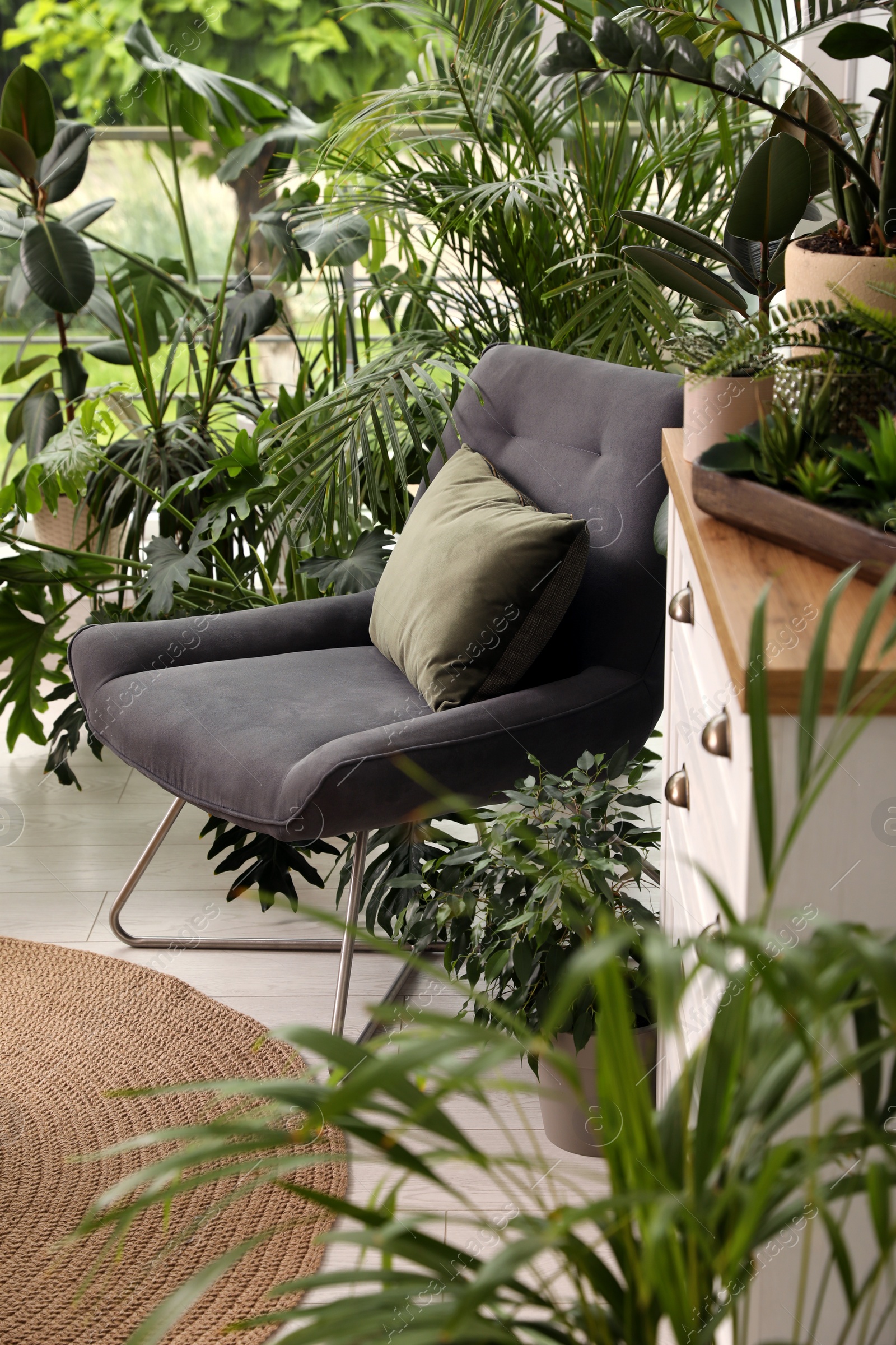 Photo of Lounge area interior with comfortable armchair and houseplants