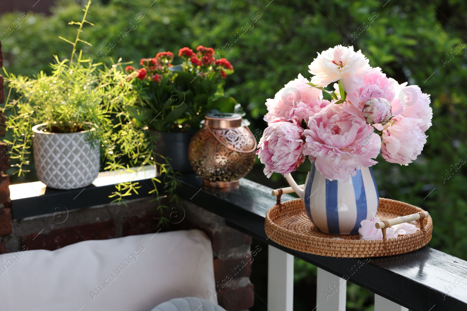 Photo of Balcony garden. Different plants growing on railings outdoors